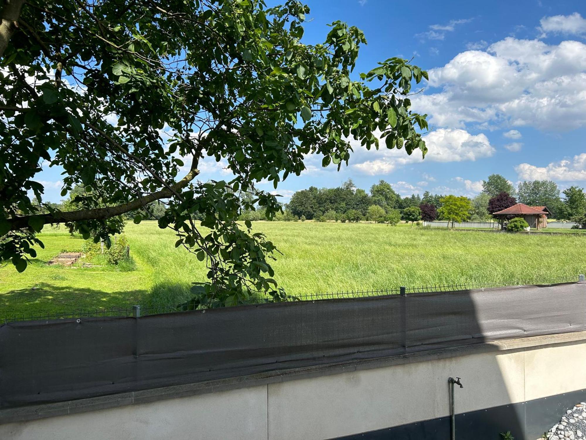 Charmant Studio Avec Terrasse Ebersheim Esterno foto